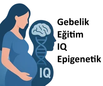 Gebelik – Eğitim – IQ – Epigenetik