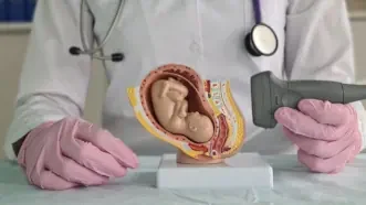 Muğla’da Normal Doğum mu, Sezaryen mi? Avantajları ve Riskleri