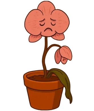 Jinekolojik Şıvgın Gebelikler