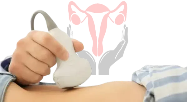 Gebelik Haftası Hesaplama