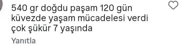 erken doğum