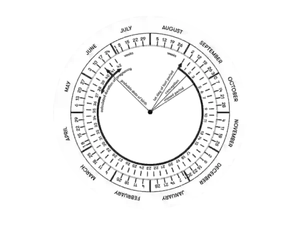 Kaliteli Gebelik Kaliteli Doğum İçin Ne Yapmalısın !