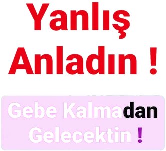 Gebelikten Önce Yapman Gerekenler