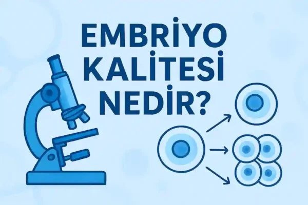 Embriyo Kalitesi