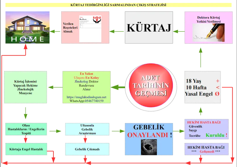 Muğla Kürtaj İş Akış Şeması