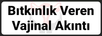 Vajinal Akıntı – Vajinal Enfeksiyon