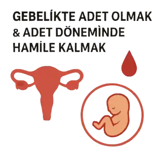 Gebelikte Adet & Adetliyken Hamile Kalmak