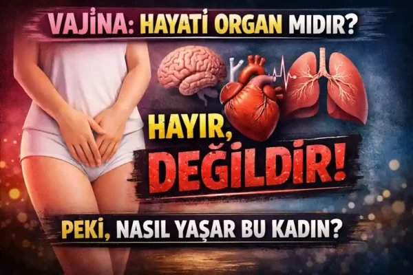 Vajina Hayati Organ Mıdır?