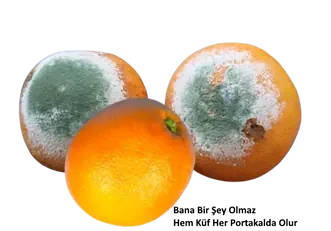 Vajinada Sümüksü Akıntı Neden Olur?