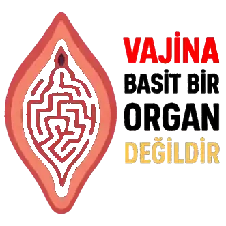 Vajina Labirent Mi? Basit Bir Organ Mı?