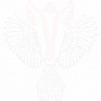 Kadın Genital Sistemi hata Kabul Etmiyor -3