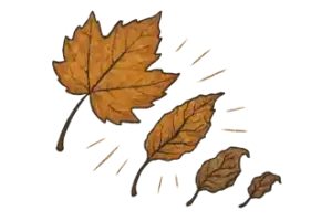 Vulvar Fimozis – Klitoral Fimozis Genital Bölgede Daralma - Fibrozis