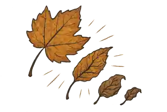 Vulvar Fimozis – Klitoral Fimozis