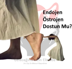 Endojen-ostrojen-ostrojen-sarhoslugu-mugla-kadin-dogum-jinekolog-2