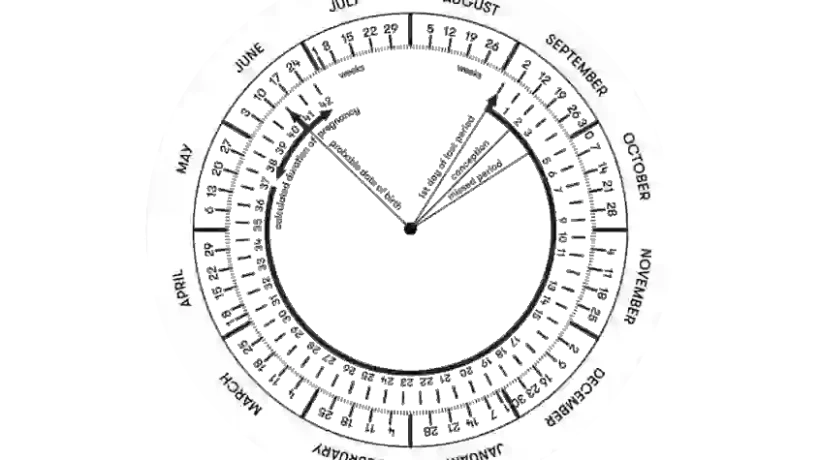 gebelik-haftasi-hesaplama-carki