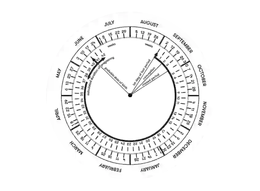 Kaliteli Gebelik Kaliteli Doğum İçin Ne Yapmalısın !