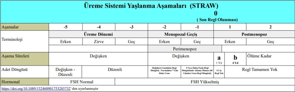 STRAW-MENOPOZ-EVRELERI-MUGLA-KADIN-DOGUM-MESUT-BAYRAKTAR