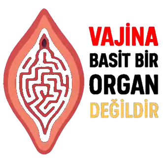Vajina Basit Bir Organ Değildir