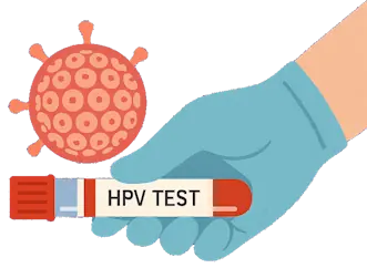 HPV Testi Nedir, Kimler Yaptırmalıdır?