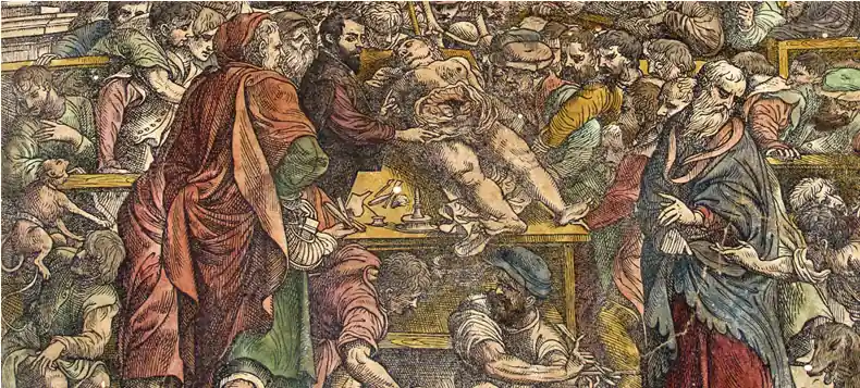 The Fabric of the Human Body