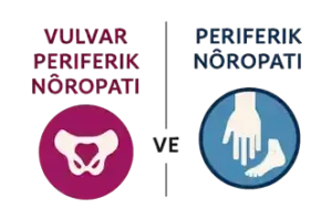 vulvar periferik nöropati