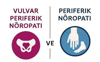 Vulvar Peri̇feri̇k Nöropati̇