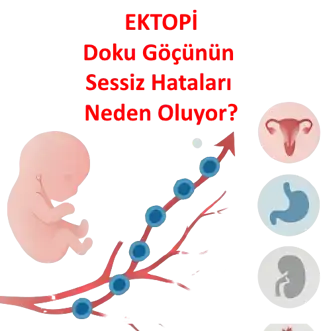 Ektropiyon – Ektopi Temelinde Gelişmiş Hastalıklar