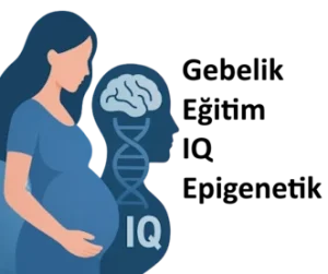 Gebelik - Eğitim - IQ - Epigenetik Sorunsalı