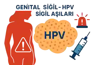Genital Siğil – HPV – Siğil – Siğil Aşıları