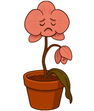 Jinekolojik Şıvgın Gebelikler