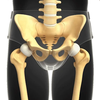 Pelvik Yapılar Görünümü - kadınlarda pelvik kemik kırığı