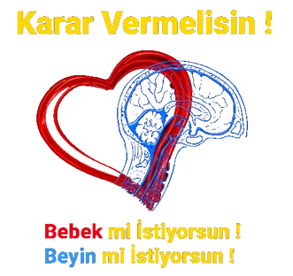 Gebelik dönemi, hem bebek hem de anne için önemli bir süreçtir.Sağlıklı bir gebelik, bebeğin sağlıklı bir şekilde gelişmesi için gereklidir. Anne adayının gebelik sürecinde sağlıklı bir yaşam tarzı benimsemesi, düzenli prenatal bakım alması, sağlıklı beslenme, uygun egzersiz yapma, stresten uzak durma gibi önlemler, bebeğin sağlıklı bir şekilde büyümesine ve gelişmesine yardımcı olur.Beyin gelişimi de bebekler için önemlidir ve bu süreç anne karnında başlar. Sağlıklı bir gebelik dönemi, bebeğin beyin gelişimine olumlu etkilerde bulunabilir. Ancak, bir bebeğin doğru bir şekilde beyin geliştirebilmesi için sadece annenin gebelik sürecindeki çabası yeterli değildir. Bebeklerin beyin gelişimi, genetik faktörlerin yanı sıra çevresel etkiler (rahim içi dönemde mikroba maruz kalmamak) ve uygun stimülasyon da gerektirir.Gebelik dönemi, sağlıklı bir bebek ve sağlıklı bir beyin gelişimi için uygun önlemlerin alındığı ve düzenli sağlık kontrollerinin yapıldığı bir süreç olmak zorundadır.