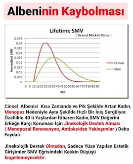 Albeninin Kaybolması
Cinsel Albenisi Kısa Zamanda ve Pik Şekilde Artan Kadın, Menopoz Nedeniyle Aynı Şekilde Hızlı Bir iniş Sergiliyor. Özellikle 40 lı Yaşlardan İtibaren Kadın,SMV Değerini Erkeğe Karşı Koruması için Jinekolojik Destek Alması ( Menopozal Renovasyon, Antioksidan Yaklaşımlar ) Daha Faydalı. Jinekolojik Destek Olmadan, Sadece Yüze Yapılan Estetik Girişimler SMV Eğrisindeki Keskin Düşüşü Engellemeyecektir.