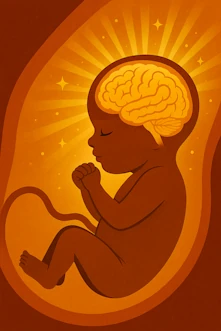 fetusun beyni rahimde gelişir, eğitim gelişmiş beynin akıl kısmını kullanır eğitim beyin geliştirmez, var olanı kullanır rahimde kaybetmeyin kaybettirmeyin gebelik takibi Muğla kadın doğum