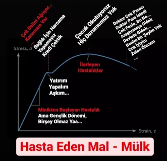 Stres - Gerinim - Hastalık : Hastalıklar Yılların İhmali İle Oluşuyor !