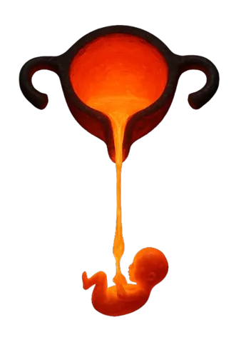 rahim pota ocağı - rahim anomalisi uterin malformasyon fetus - Muğla kadın doğum