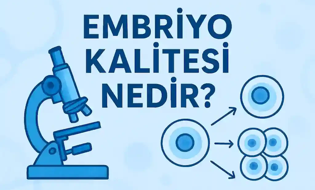 Embriyo Kalitesi