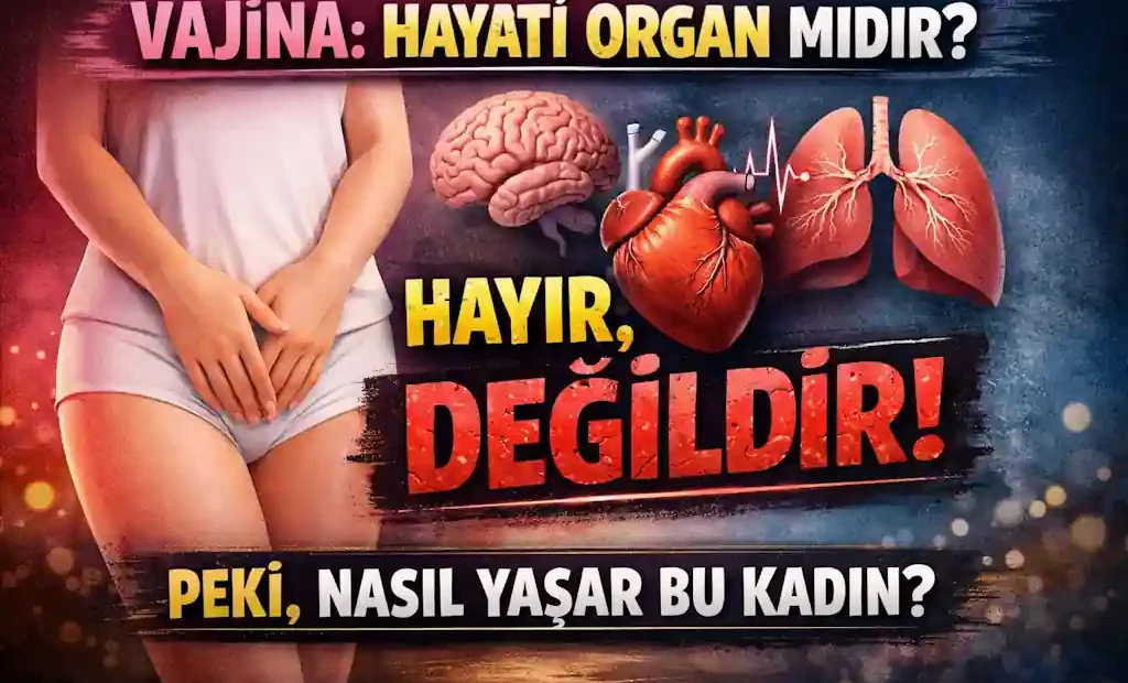 VAJİNA HAYATİ ORGAN MIDIR?