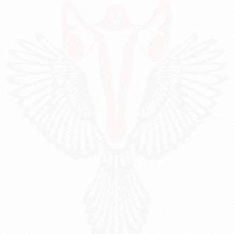 Gebelikte senin hastalıklara sabretmene, dayanmana, direnmene Fetus dayanmaz.